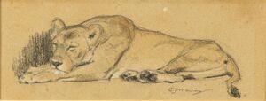 Lioness - Jan Cornelis Mension